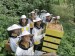 RAKOvčelaříci - u včel, jako doma